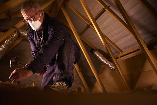 Best Commercial Insulation in Cameron Park, TX